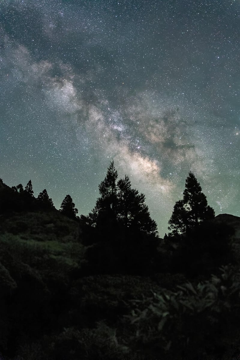 Milky Way Magic